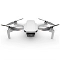 Квадрокоптер DJI Mini SE Fly More Combo 670417516932 - фото 2527